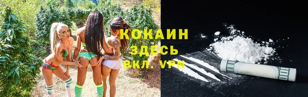 спиды Алексеевка