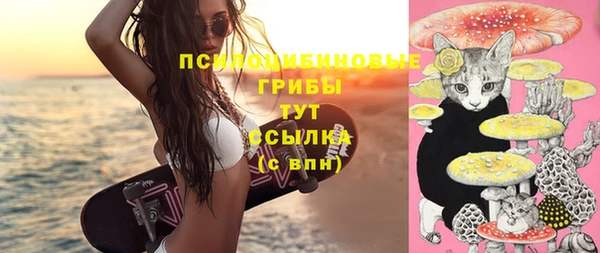 спиды Алексеевка